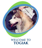 Welcome to Togiak